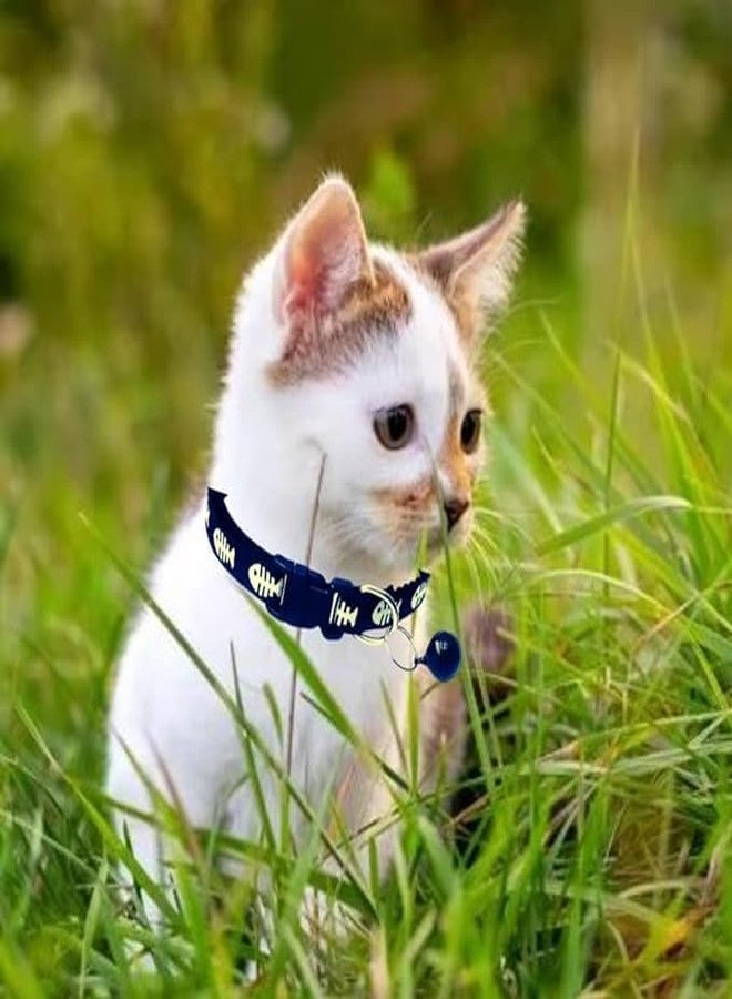 Pups&Pets High-Visibility cat Collar Safety cat Collar with Reflective Strip Nighttime Glow in Dark cat Collar wih Bell Pack of 1 - Image 5